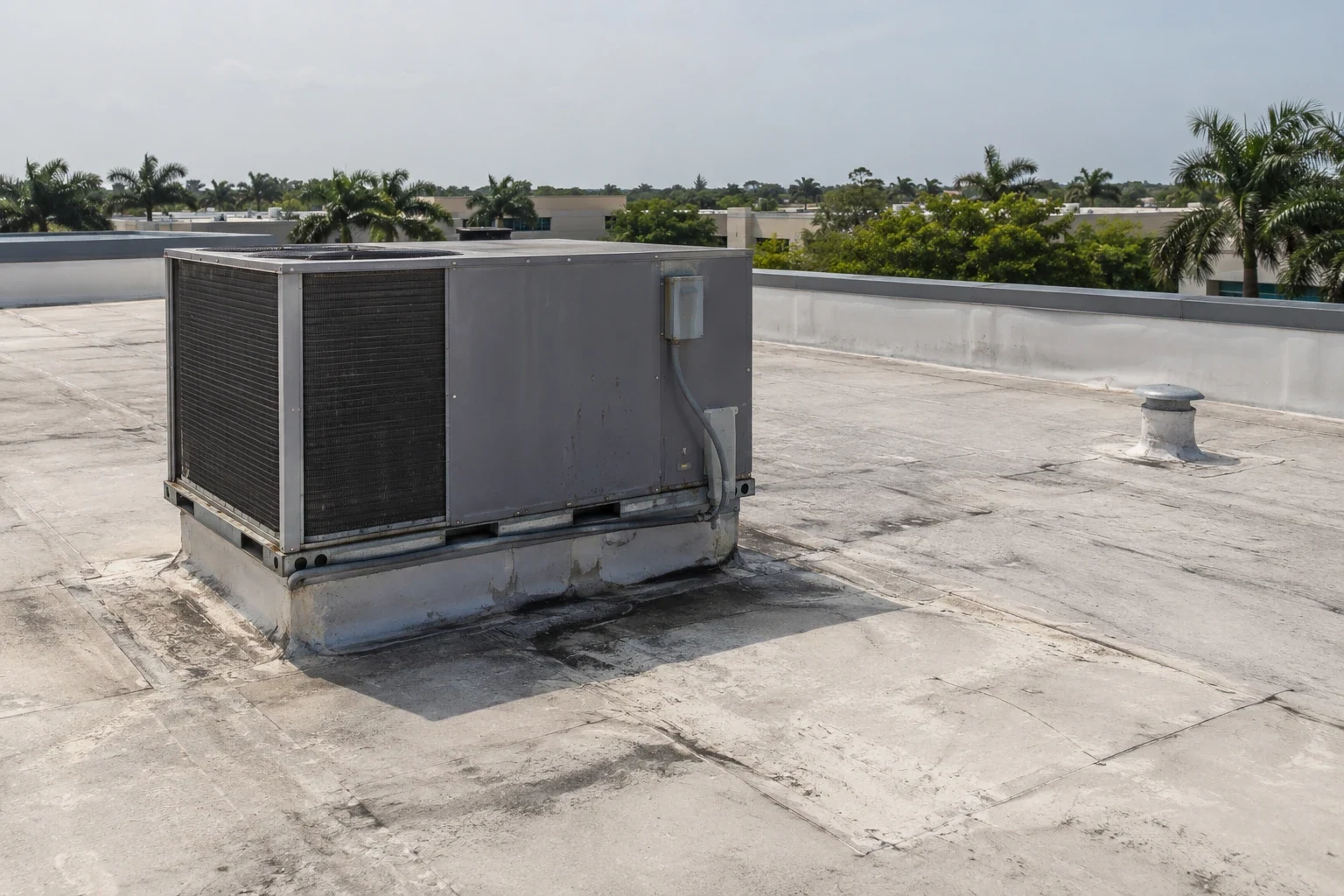 Commercial property roof